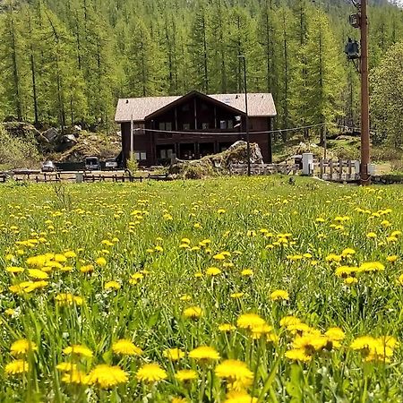 Piamprato Chalet Rosa Dei Monti מראה חיצוני תמונה