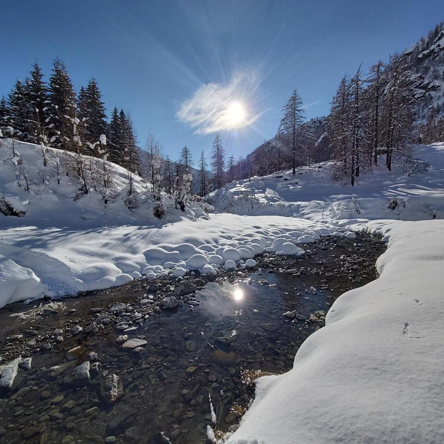 Piamprato Chalet Rosa Dei Monti מראה חיצוני תמונה