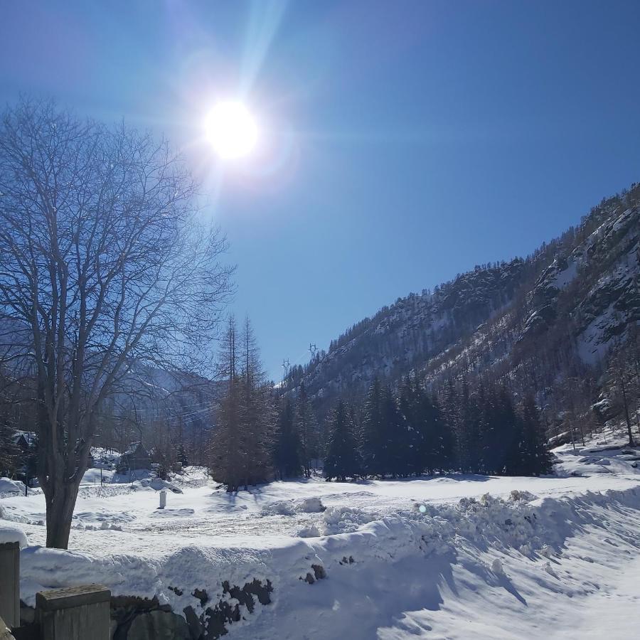 Piamprato Chalet Rosa Dei Monti מראה חיצוני תמונה