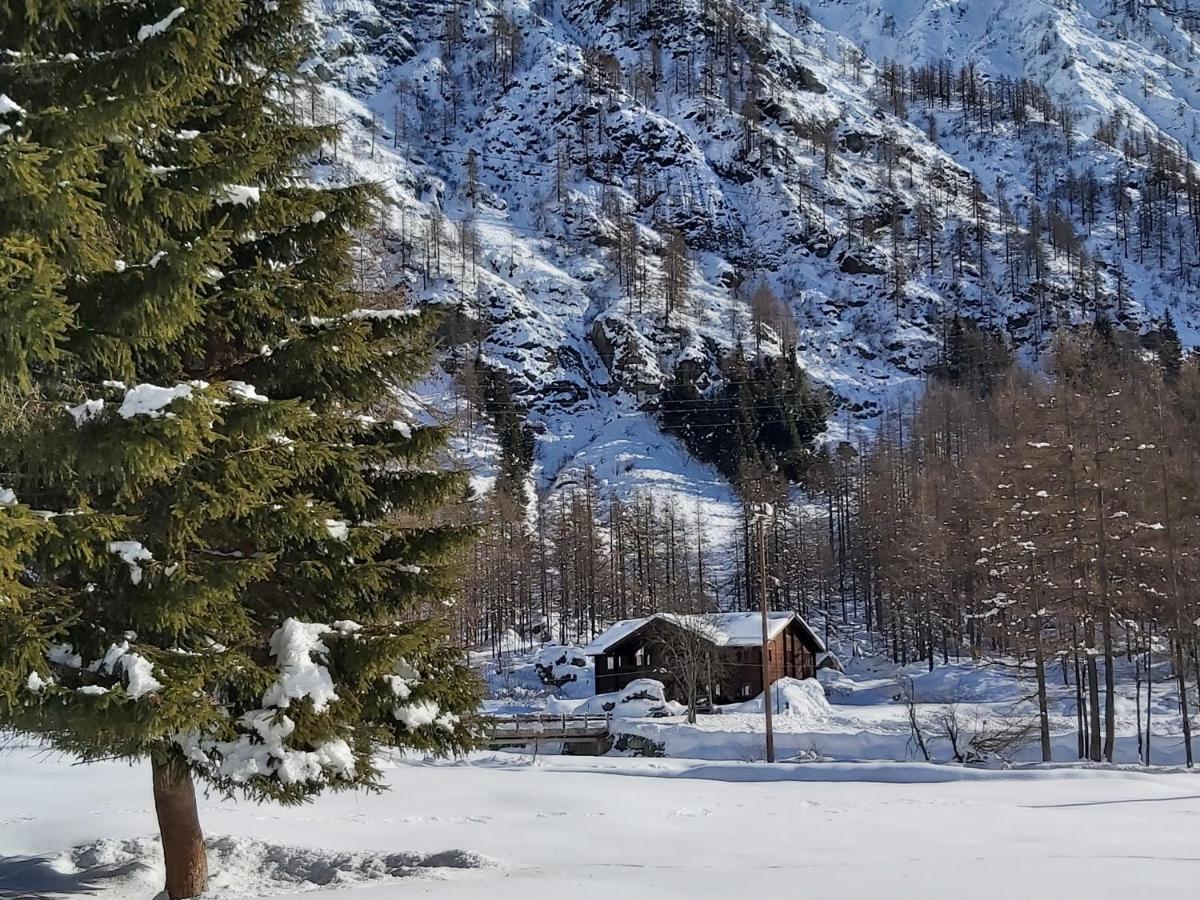 Piamprato Chalet Rosa Dei Monti מראה חיצוני תמונה