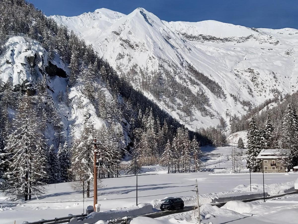 Piamprato Chalet Rosa Dei Monti מראה חיצוני תמונה