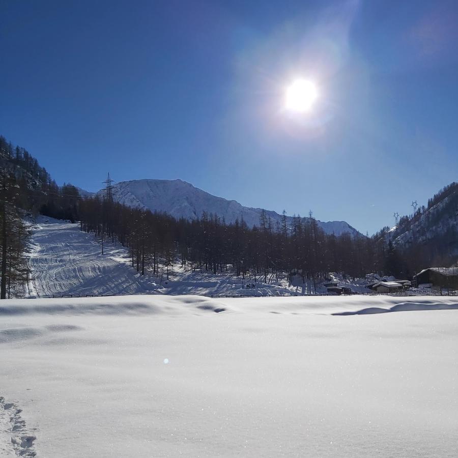 Piamprato Chalet Rosa Dei Monti מראה חיצוני תמונה