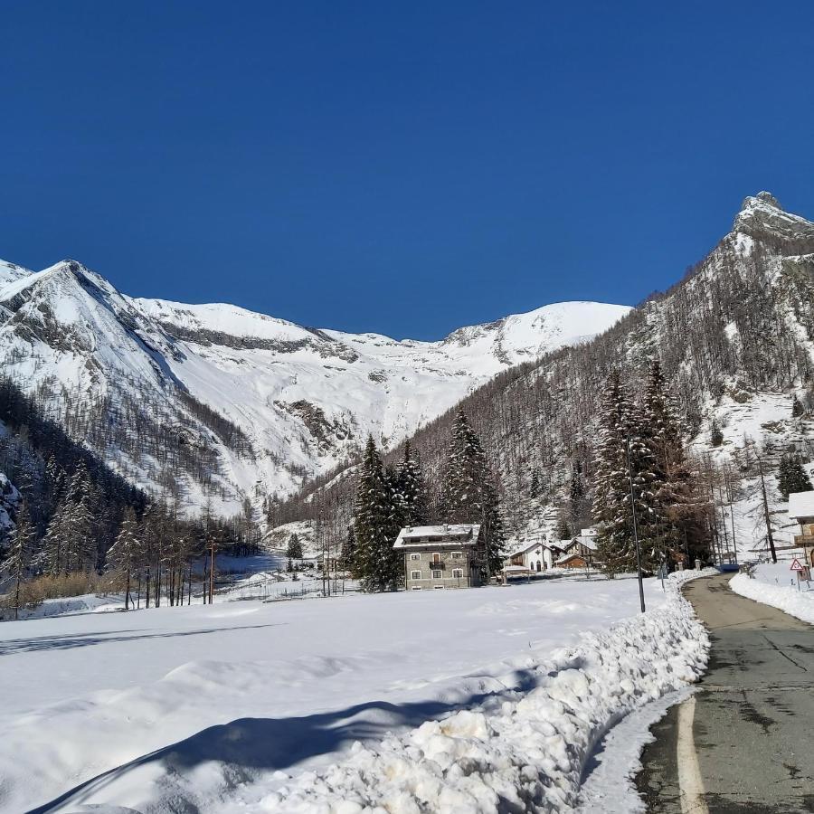 Piamprato Chalet Rosa Dei Monti מראה חיצוני תמונה