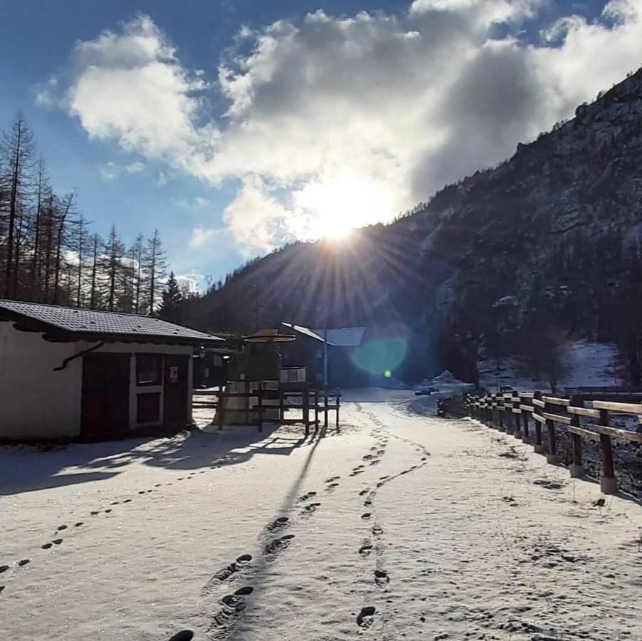 Piamprato Chalet Rosa Dei Monti מראה חיצוני תמונה