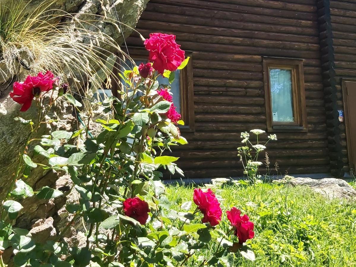 Piamprato Chalet Rosa Dei Monti מראה חיצוני תמונה