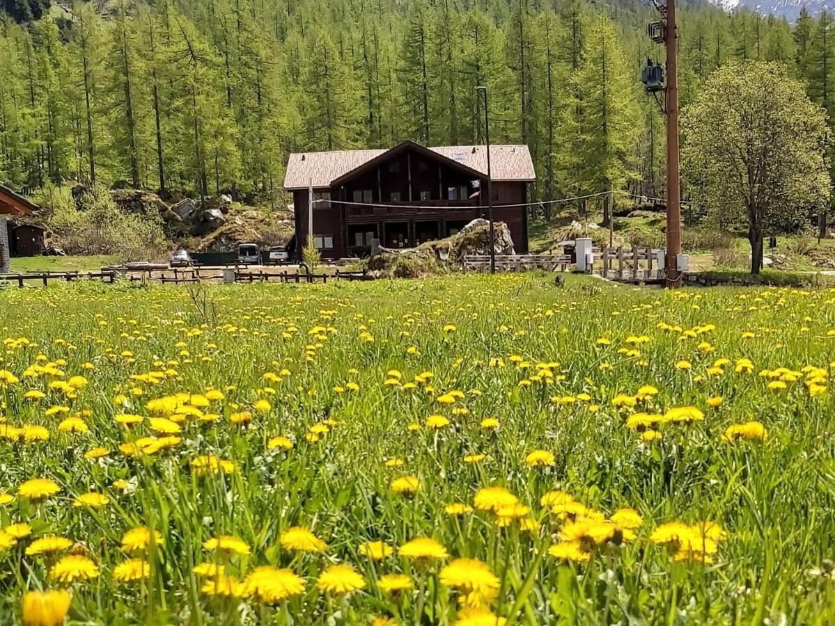 Piamprato Chalet Rosa Dei Monti מראה חיצוני תמונה