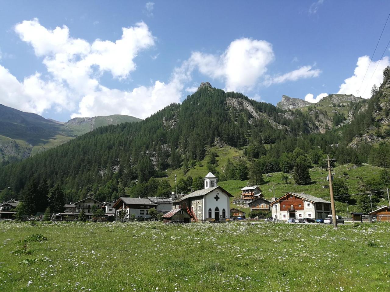 Piamprato Chalet Rosa Dei Monti מראה חיצוני תמונה
