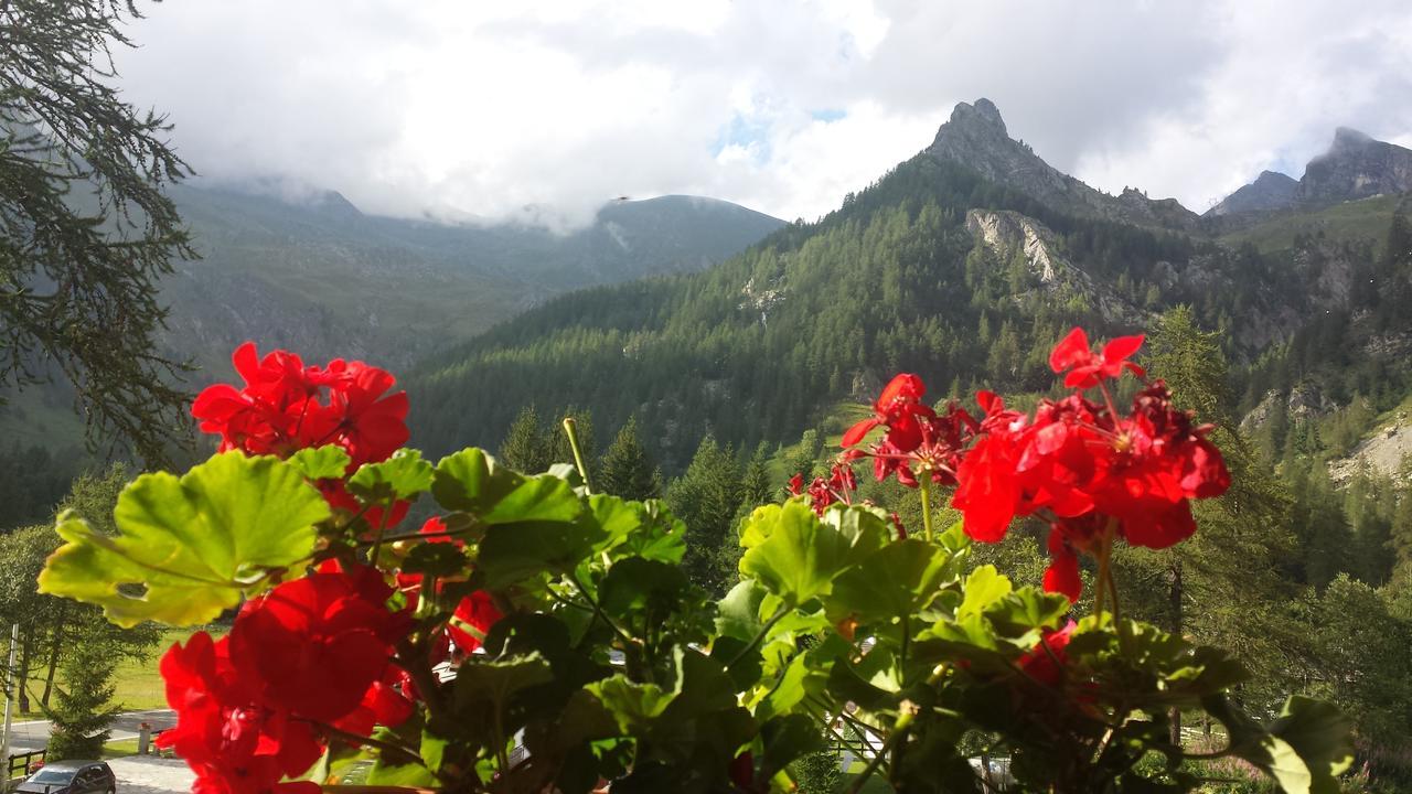 Piamprato Chalet Rosa Dei Monti מראה חיצוני תמונה