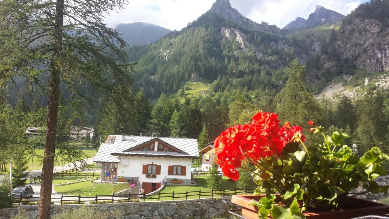 Piamprato Chalet Rosa Dei Monti מראה חיצוני תמונה