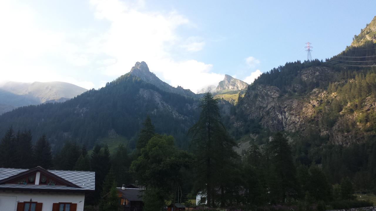 Piamprato Chalet Rosa Dei Monti מראה חיצוני תמונה