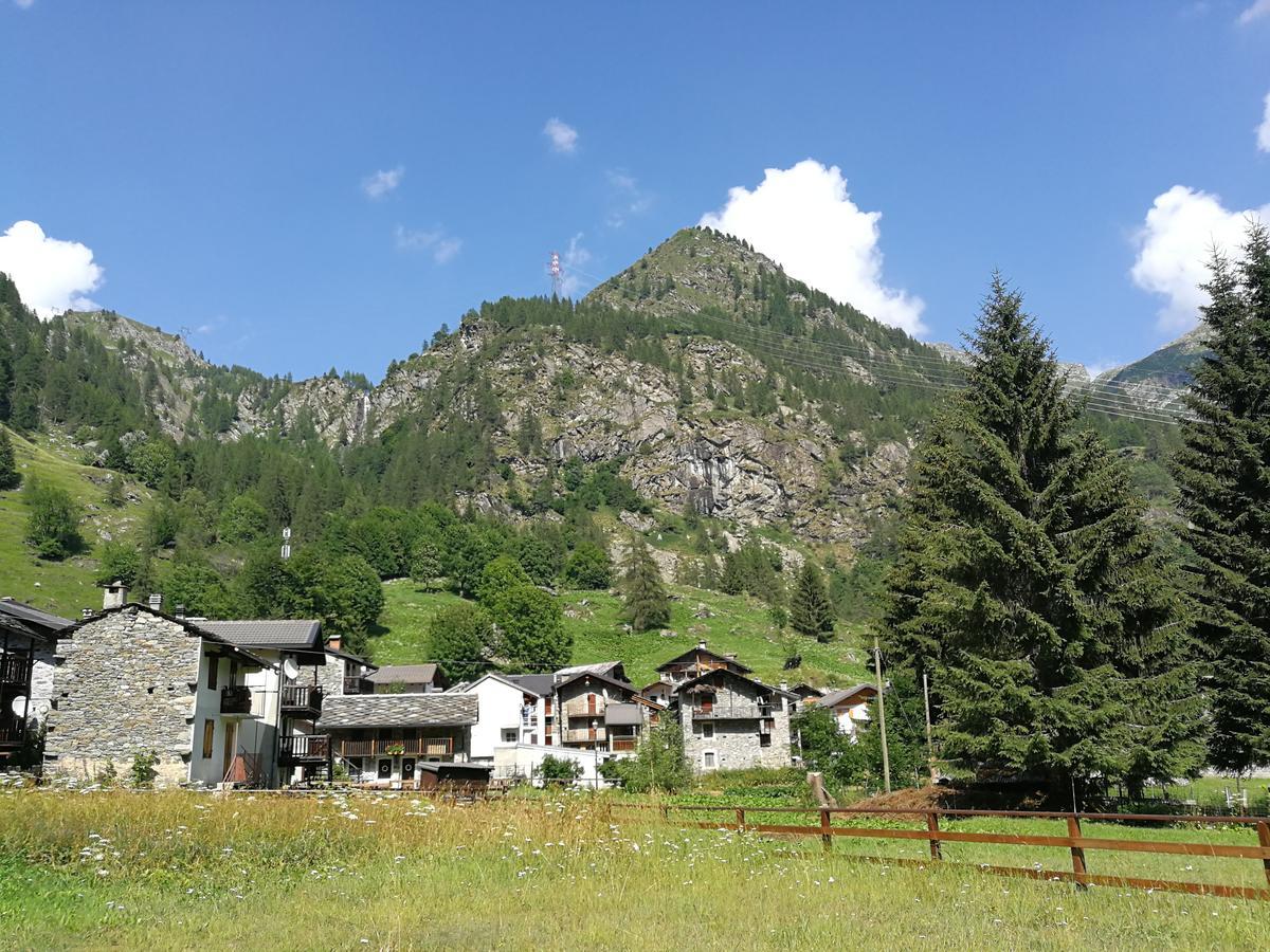 Piamprato Chalet Rosa Dei Monti מראה חיצוני תמונה