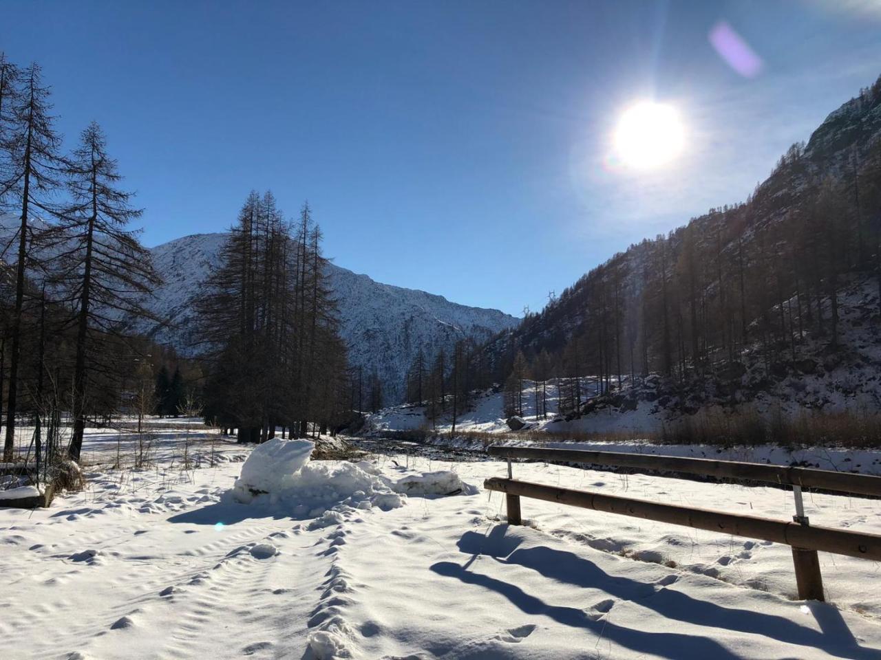 Piamprato Chalet Rosa Dei Monti מראה חיצוני תמונה
