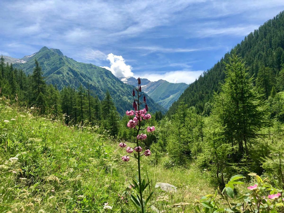 Piamprato Chalet Rosa Dei Monti מראה חיצוני תמונה
