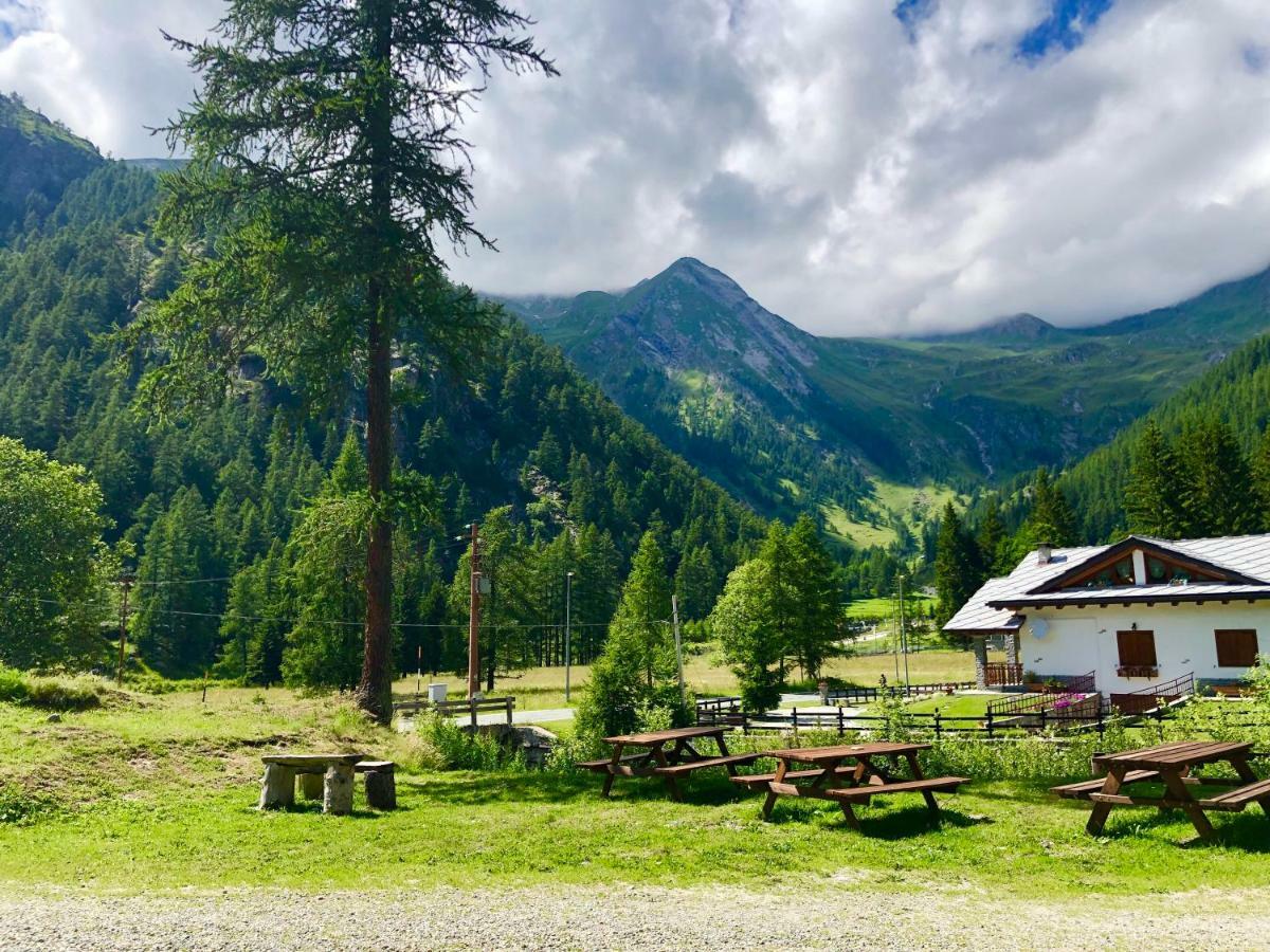 Piamprato Chalet Rosa Dei Monti מראה חיצוני תמונה